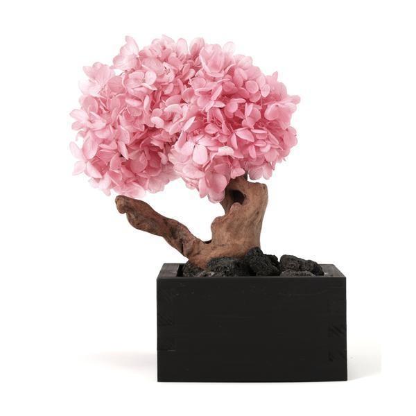 JAKOU／寂香／BONSAI Diffuser