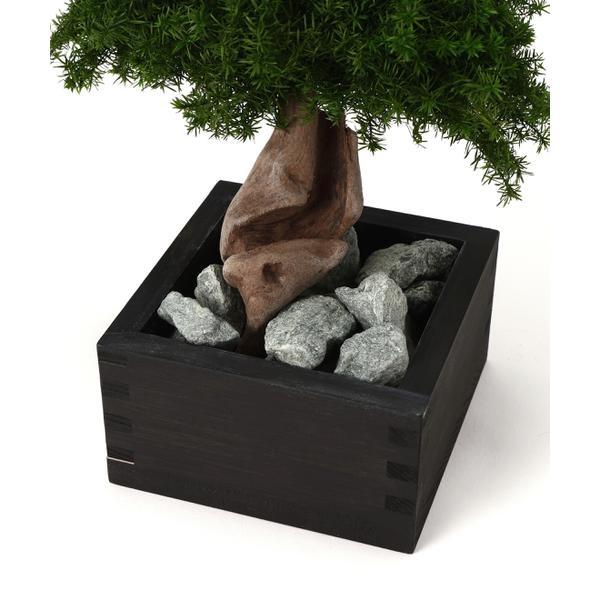 JAKOU／寂香／BONSAI Diffuser