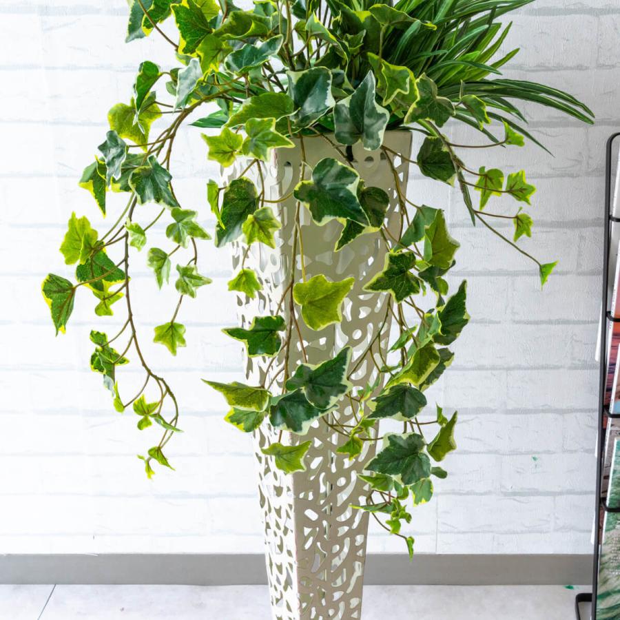 Moomin ムーミン ハーブ栽培セット