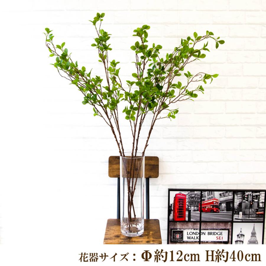 Pas010 造花フェイクグリーン5本 ドウダンツツジ ポリカーボネート花器 フェイクグリーン インテリア 枝 アートフラワー おしゃれ 店内装飾 Pas010 0101pp Shop Yahoo 店 通販 Yahoo ショッピング