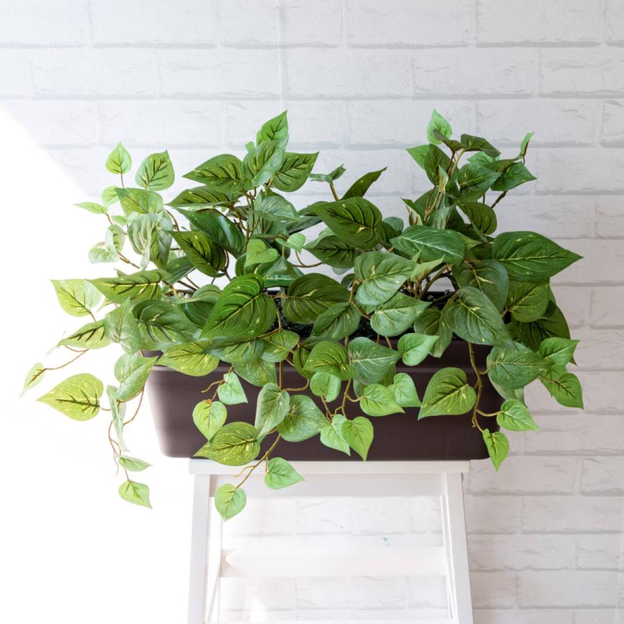 Pf340 Db 造花プランター ポトス フラワープランター フラワーアレンジメント フェイクグリーン インテリア おしゃれ 店舗装飾 ディスプレイ Pf340 Db 0101pp Shop Yahoo 店 通販 Yahoo ショッピング