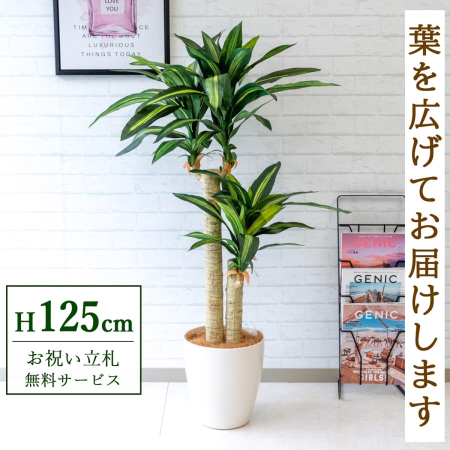 Pg016 65wh マッサン 幸福の木 H約125cm ポリプロピレン鉢 人工観葉植物 フェイクグリーン アーティフィシャルグリーン 通販 インテリア おしゃれ Pg016 65wh 0101pp Shop Yahoo 店 通販 Yahoo ショッピング