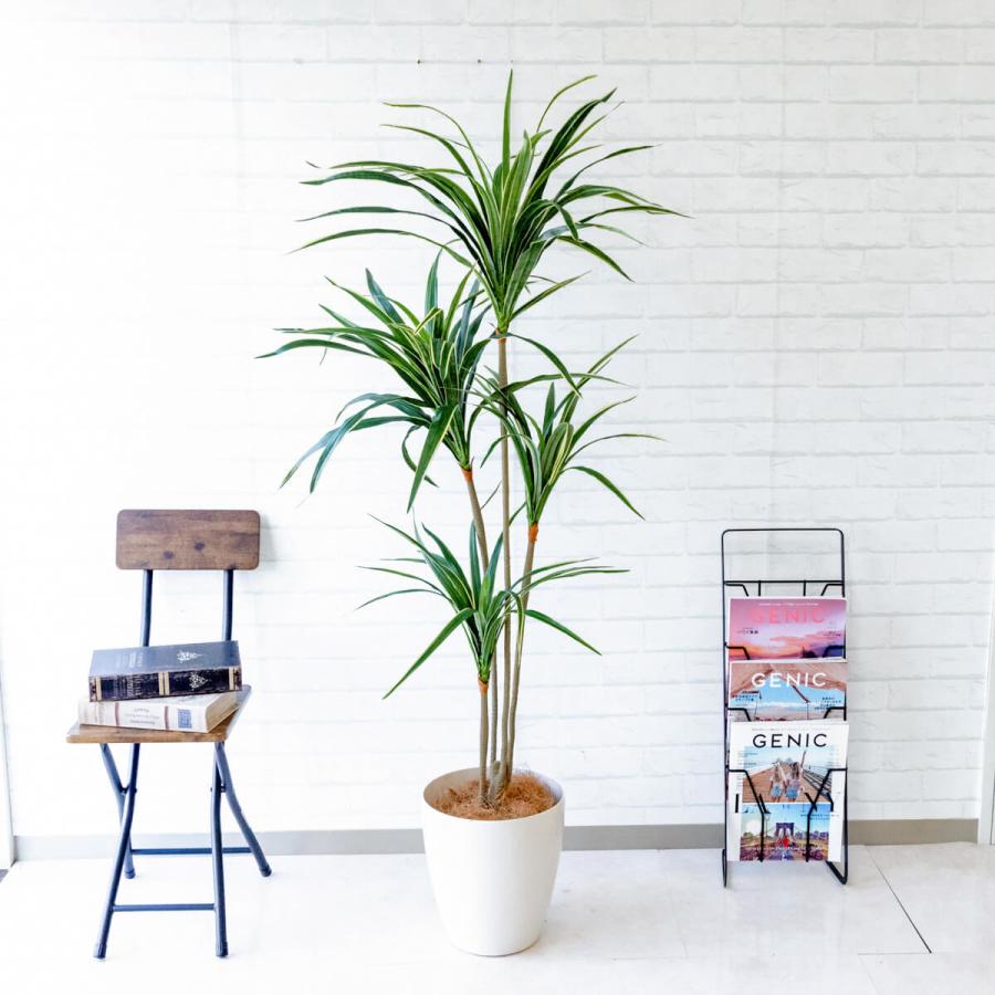 ☆立札無料☆【すぐ飾れる】 フェイクグリーン 人工観葉植物 ユッカ