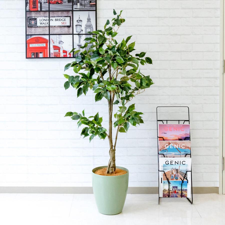 最新コレックション Pg080 65gr クラシックフィカス H約140cm ポリプロピレン鉢 人工観葉植物 フェイクグリーン アーティフィシャルグリーン 通販 インテリア Pg080 65gr 0101pp Shop Yahoo 店 通販 Yahoo ショッピング 好評 Www Maxipiso Com Ar