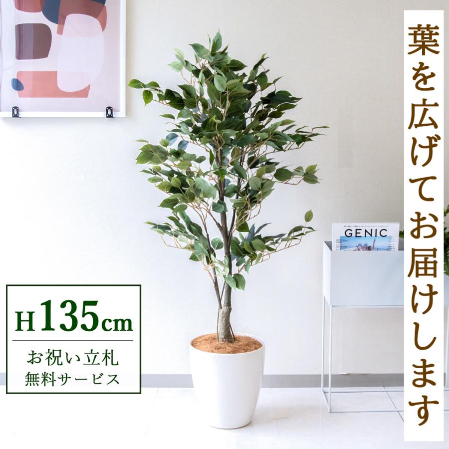 Pg080 65wh クラシックフィカス H約140cm ポリプロピレン鉢 人工観葉植物 フェイクグリーン アーティフィシャルグリーン 通販 インテリア おしゃれ Pg080 65wh 0101pp Shop Yahoo 店 通販 Yahoo ショッピング