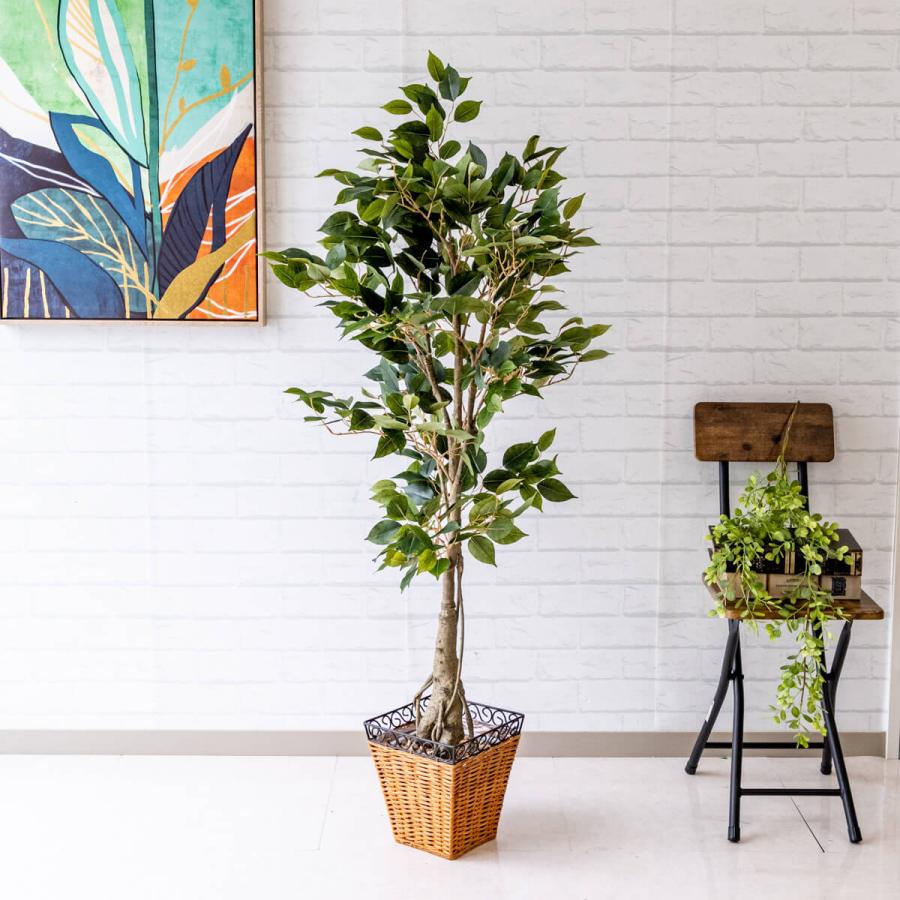 Pg080 E21 クラシックフィカス H約140cm バスケット鉢 人工観葉植物 フェイクグリーン アーティフィシャルグリーン 通販 インテリア おしゃれ Pg080 E21 0101pp Shop Yahoo 店 通販 Yahoo ショッピング