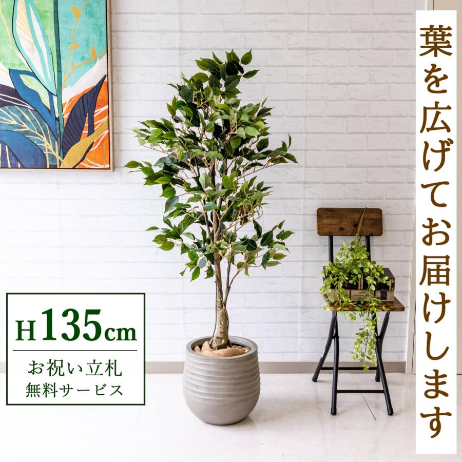フェイクグリーン フィカス ベンジャミン H約135cm 鉢付き