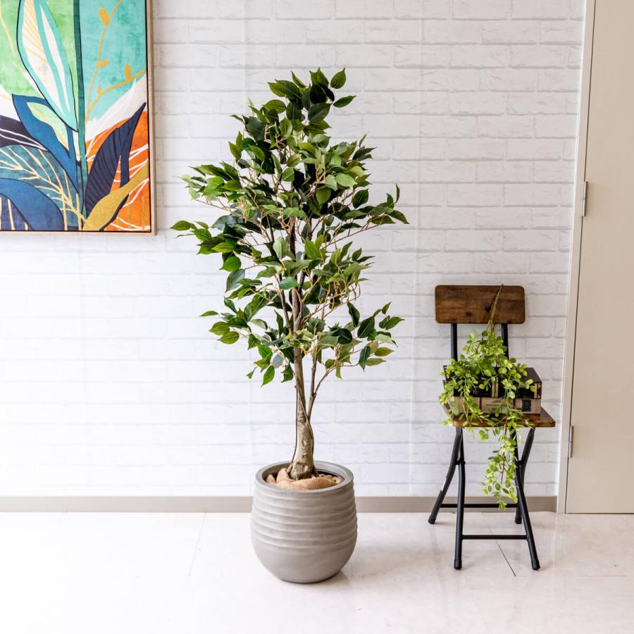 ☆立札無料☆【すぐ飾れる】 フェイクグリーン 人工観葉植物 フィカス