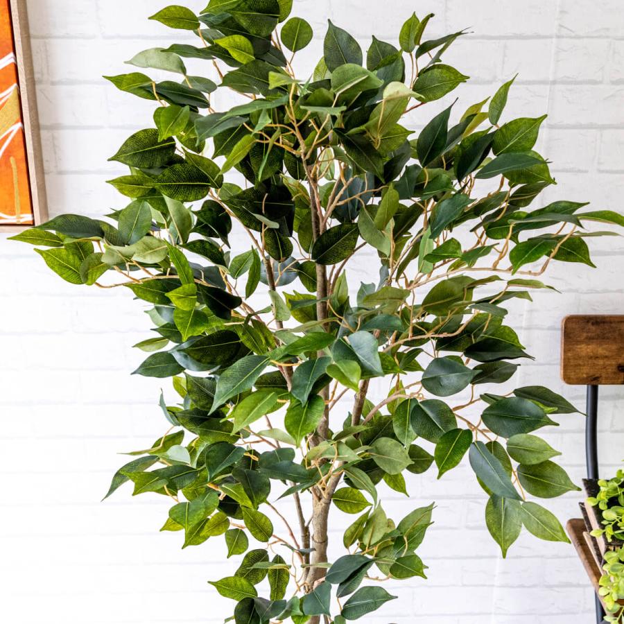 （552）【引き取り限定】【新品】造花 フェイクグリーン ベンジャミンフィカス 552）【引き取り限定】【新品】造花 フェイクグリーン