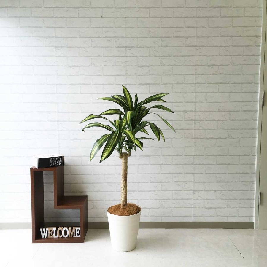 Pg0 マッサン 幸福の木 ドラセナ H115cm ポリプロピレン鉢 人工観葉植物 フェイクグリーン アーティフィシャルグリーン 通販 インテリア おしゃれ Pg0 0101pp Shop Yahoo 店 通販 Yahoo ショッピング