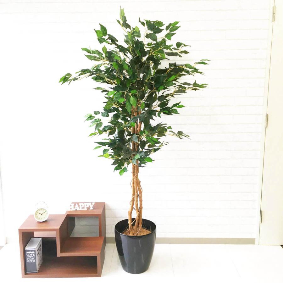 Pg091 ベンジャミンフィカスツリー H170cm ポリプロピレン鉢 人工観葉植物 大型 フェイクグリーン アーティフィシャルグリーン 通販 インテリア おしゃれ Pg091 0101pp Shop Yahoo 店 通販 Yahoo ショッピング