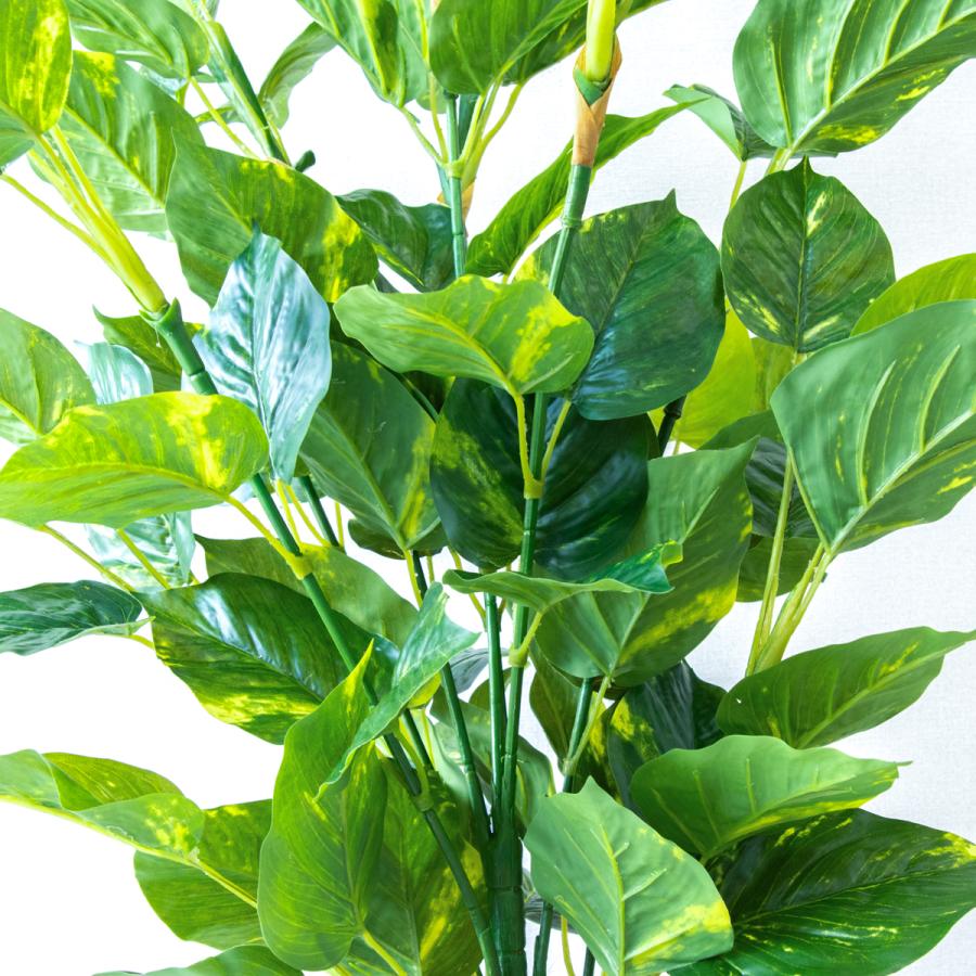 ★立札無料★【すぐ飾れる】 フェイクグリーン 人工観葉植物 フレッシュポトス 100cm 鉢付き / 法人・開店祝い 店舗・オフィス装飾の画像