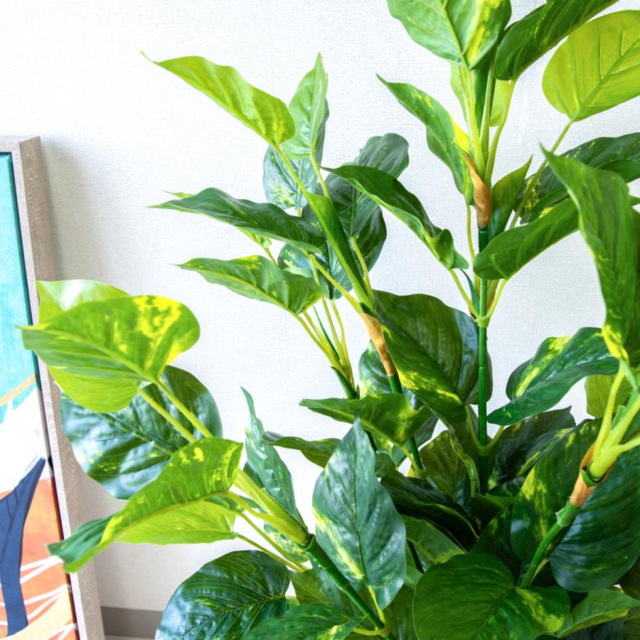★立札無料★【すぐ飾れる】 フェイクグリーン 人工観葉植物 フレッシュポトス 100cm 鉢付き / 法人・開店祝い 店舗・オフィス装飾の画像