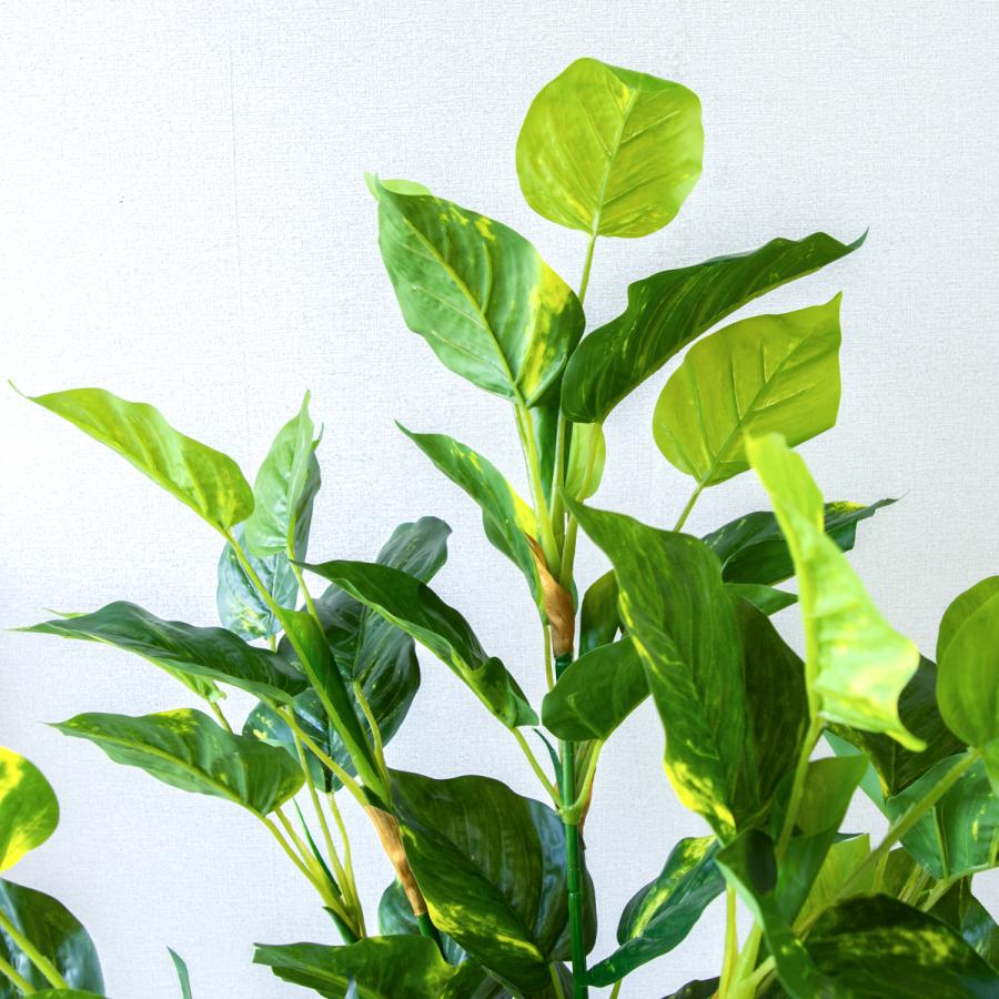 ★立札無料★【すぐ飾れる】 フェイクグリーン 人工観葉植物 フレッシュポトス 100cm 鉢付き / 法人・開店祝い 店舗・オフィス装飾の画像