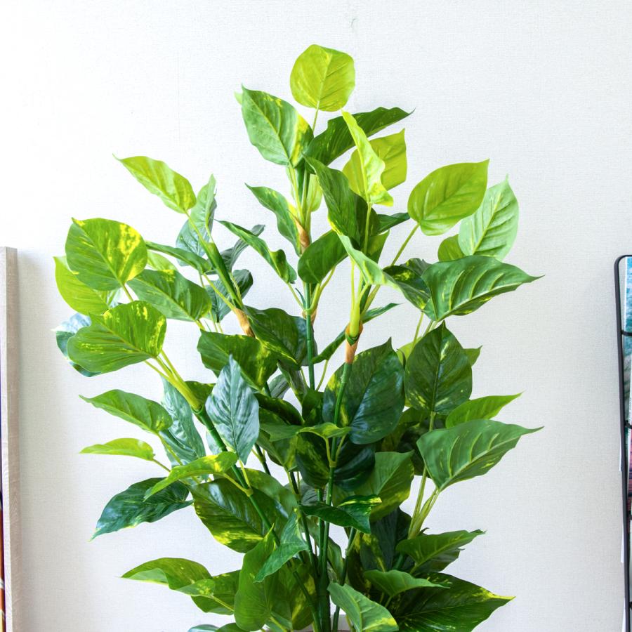 ★立札無料★【すぐ飾れる】 フェイクグリーン 人工観葉植物 フレッシュポトス 100cm 鉢付き / 法人・開店祝い 店舗・オフィス装飾の画像
