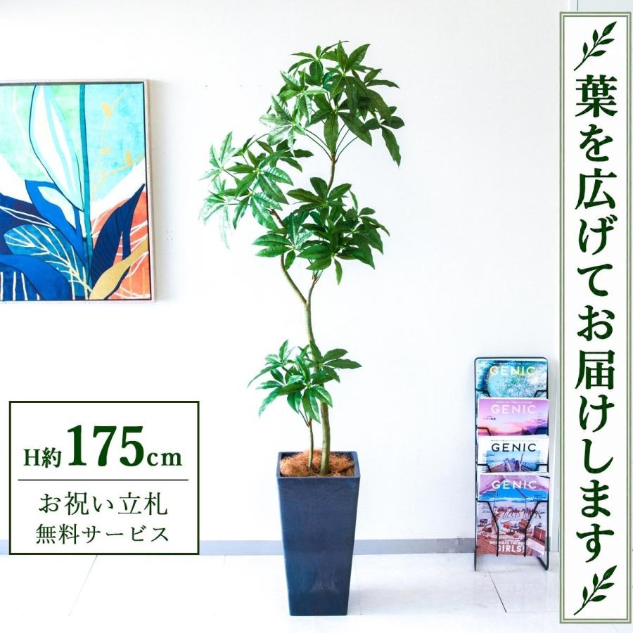 ☆立札無料☆【すぐ飾れる】 フェイクグリーン 人工観葉植物 パキラ 