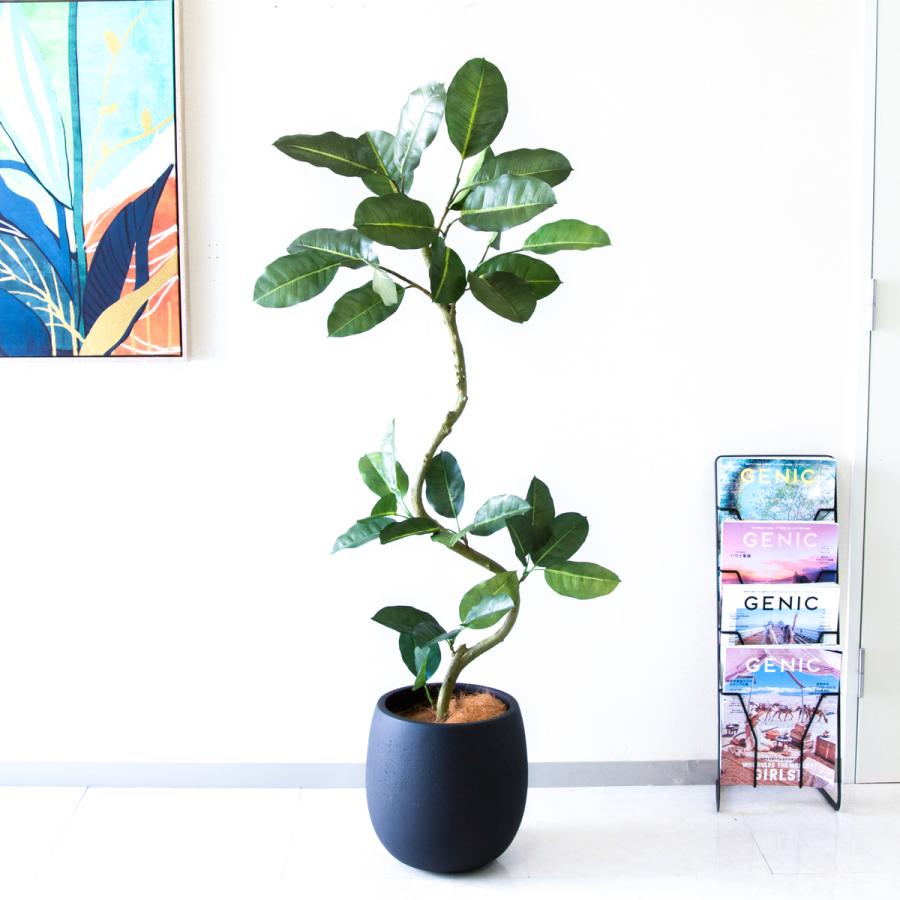 ★立札無料★【すぐ飾れる】 フェイクグリーン 人工観葉植物 フィカス ゴムの木 145cm  鉢付き / 法人・開店祝い 店舗・オフィス装飾の画像