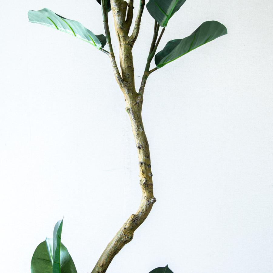 ★立札無料★【すぐ飾れる】 フェイクグリーン 人工観葉植物 フィカス ゴムの木 145cm  鉢付き / 法人・開店祝い 店舗・オフィス装飾の画像