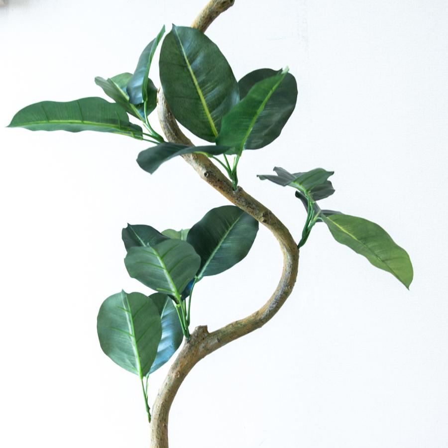 ★立札無料★【すぐ飾れる】 フェイクグリーン 人工観葉植物 フィカス ゴムの木 145cm  鉢付き / 法人・開店祝い 店舗・オフィス装飾の画像