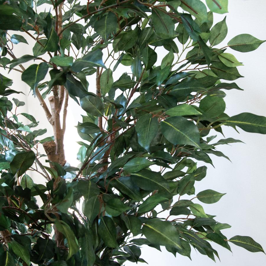 ★立札無料★【すぐ飾れる】 フェイクグリーン 人工観葉植物 フィカス ベンジャミン 190cm 大型 鉢付き / 法人・開店祝い 店舗・オフィス装飾_4