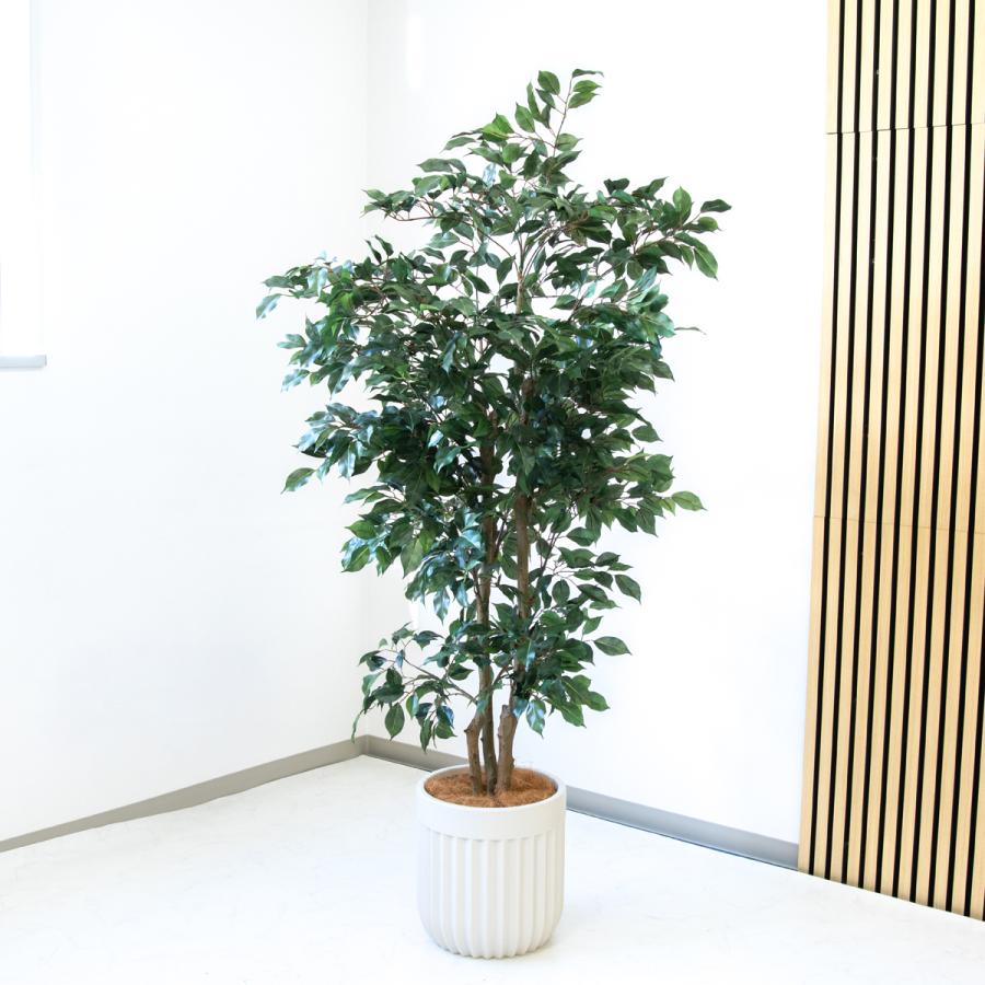 観葉植物 160cmホワイト鉢 ☆立札無料☆【すぐ飾れる】 フェイクグリーン 人工観葉植物 フィカス