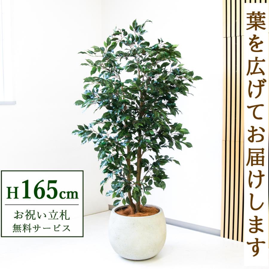 フェイクグリーン　ベンジャミン(フィスカ) 165cm 観葉植物　造花 ☆立札無料☆【すぐ飾れる】 フェイクグリーン 人工観葉植物 フィカス