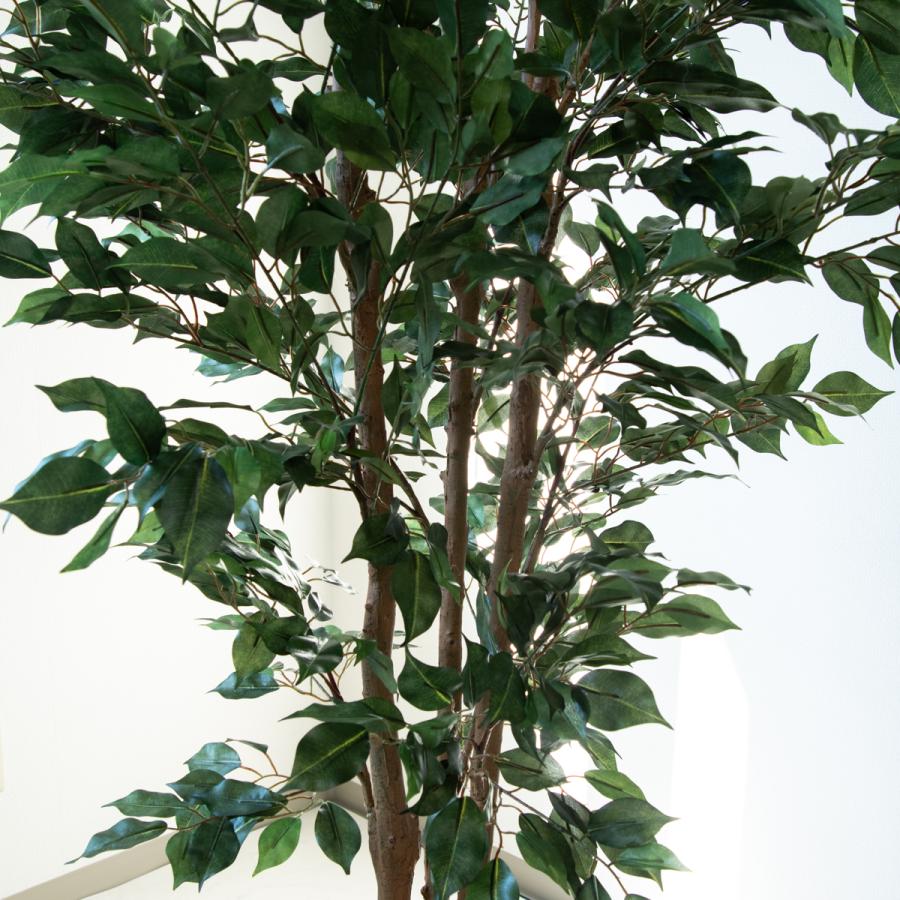 ☆立札無料☆【すぐ飾れる】 フェイクグリーン 人工観葉植物 フィカス