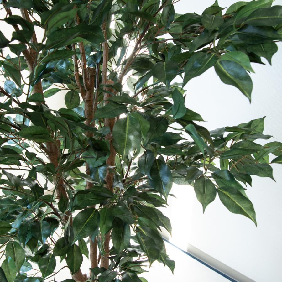 ☆立札無料☆【すぐ飾れる】 フェイクグリーン 人工観葉植物 フィカス