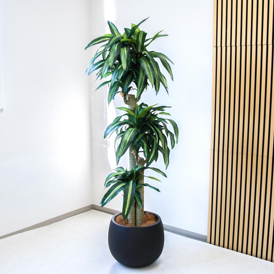 ☆立札無料☆【すぐ飾れる】 フェイクグリーン 人工観葉植物 幸福の木 