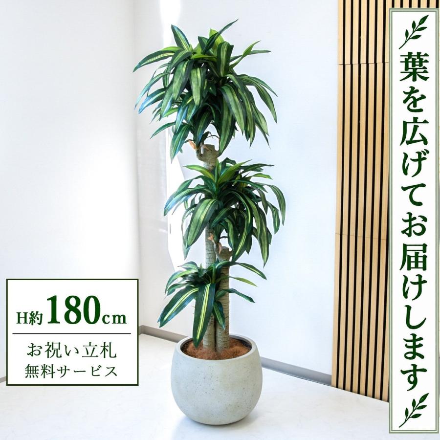 ☆立札無料☆【すぐ飾れる】 フェイクグリーン 人工観葉植物 幸福の木