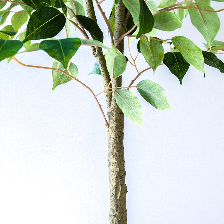 ★立札無料★【すぐ飾れる】 フェイクグリーン 人工観葉植物 フィカス ベンジャミン 150cm  鉢付き / 法人・開店祝い 店舗・オフィス装飾の画像