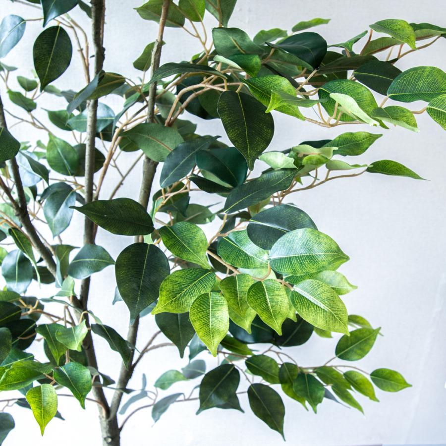 ★立札無料★【すぐ飾れる】 フェイクグリーン 人工観葉植物 フィカス ベンジャミン 150cm  鉢付き / 法人・開店祝い 店舗・オフィス装飾の画像