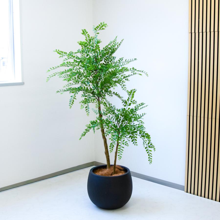 ★立札無料★【すぐ飾れる】 フェイクグリーン 人工観葉植物 トネリコ 170cm 大型 鉢付き / 法人・開店祝い 店舗・オフィス装飾_1