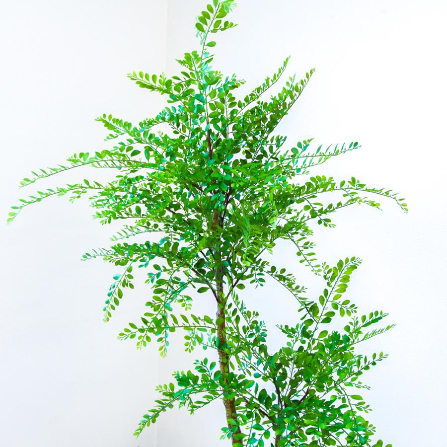 ★立札無料★【すぐ飾れる】 フェイクグリーン 人工観葉植物 トネリコ 170cm 大型 鉢付き / 法人・開店祝い 店舗・オフィス装飾_2