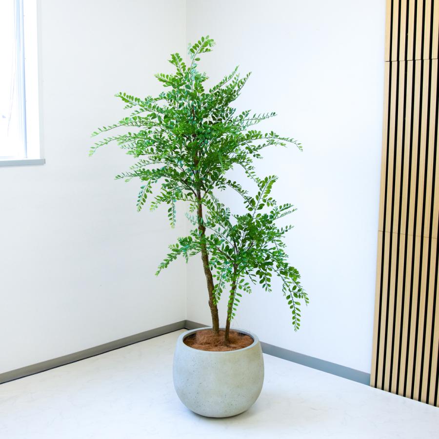 ★立札無料★【すぐ飾れる】 フェイクグリーン 人工観葉植物 トネリコ 170cm 大型 鉢付き / 法人・開店祝い 店舗・オフィス装飾_1