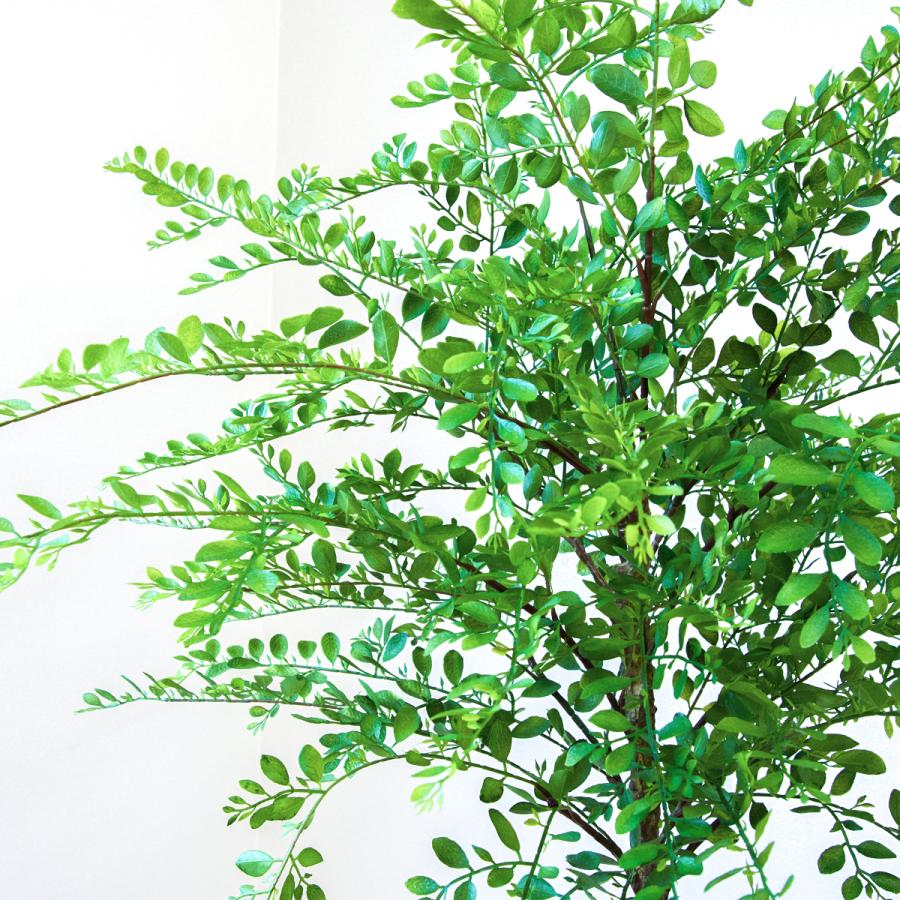 ★立札無料★【すぐ飾れる】 フェイクグリーン 人工観葉植物 トネリコ 170cm 大型 鉢付き / 法人・開店祝い 店舗・オフィス装飾_3