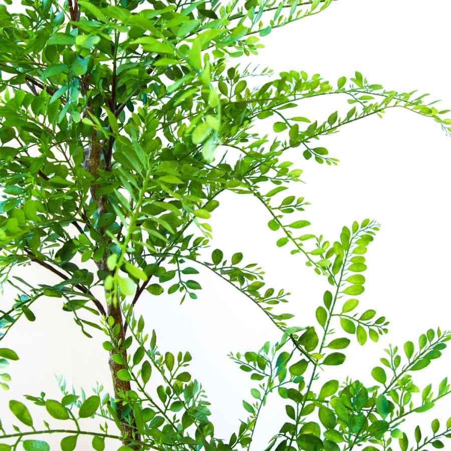 ★立札無料★【すぐ飾れる】 フェイクグリーン 人工観葉植物 トネリコ 170cm 大型 鉢付き / 法人・開店祝い 店舗・オフィス装飾_4