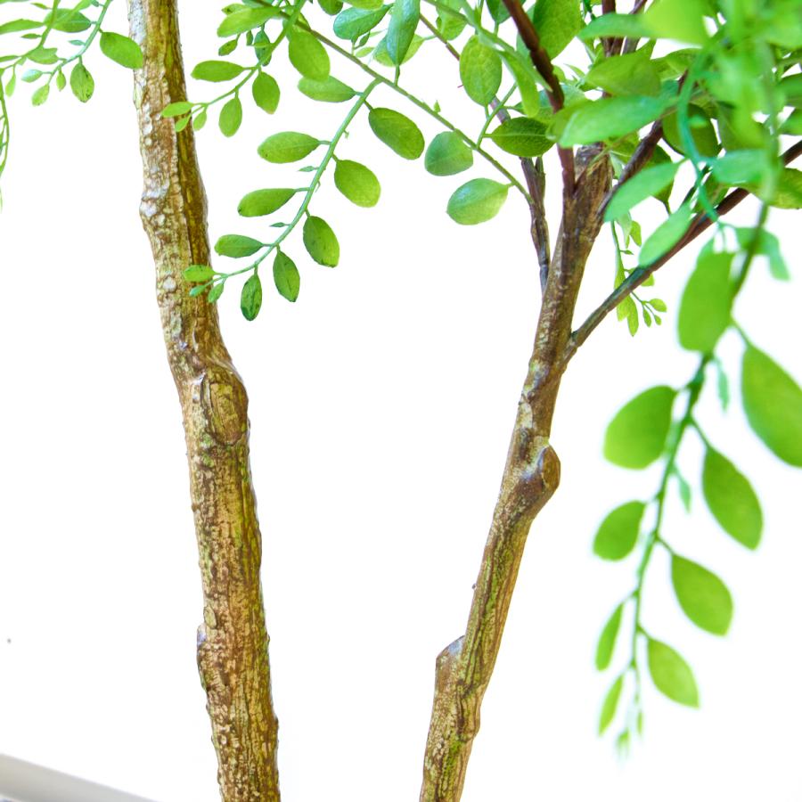 ★立札無料★【すぐ飾れる】 フェイクグリーン 人工観葉植物 トネリコ 170cm 大型 鉢付き / 法人・開店祝い 店舗・オフィス装飾_5