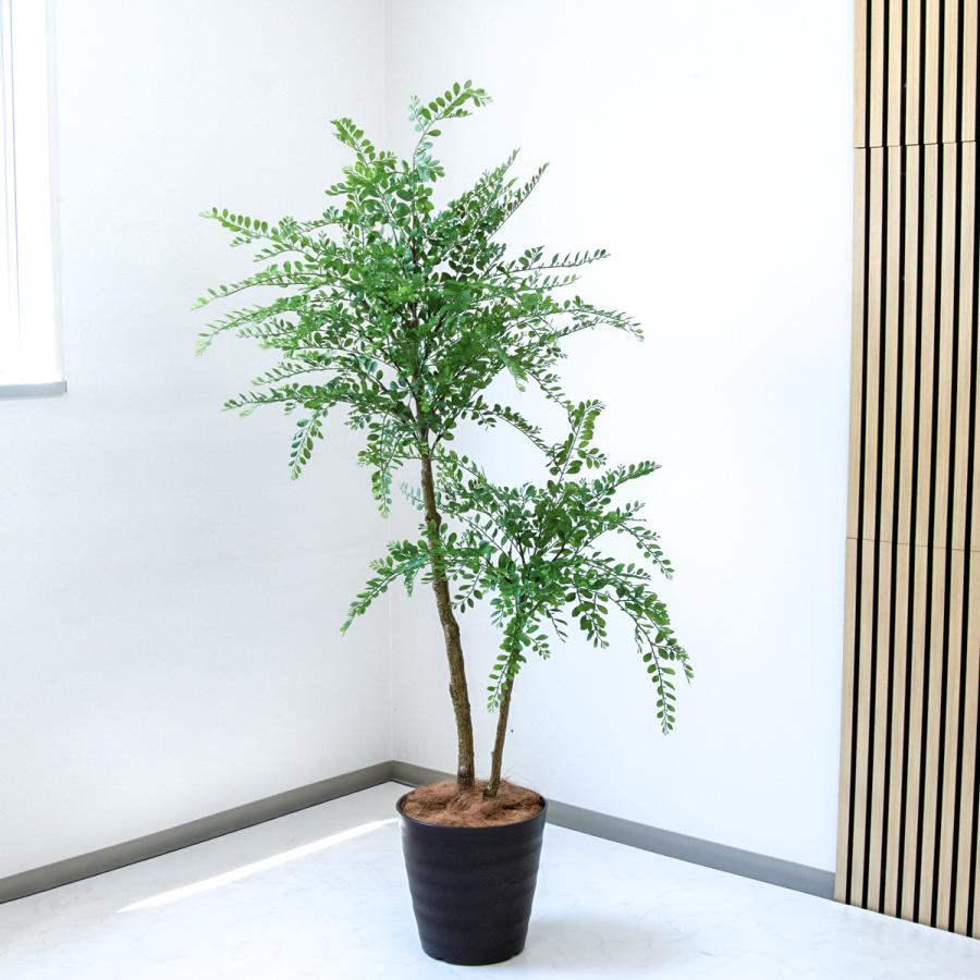 ☆立札無料☆【すぐ飾れる】 フェイクグリーン 人工観葉植物 トネリコ 