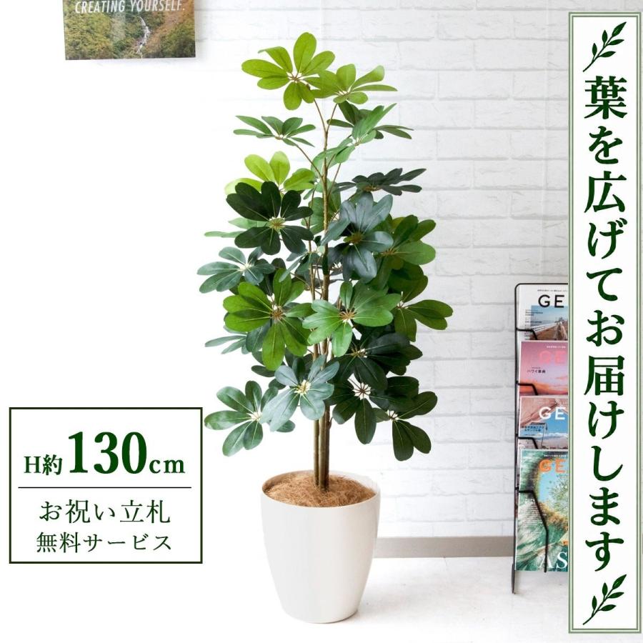 ☆立札無料☆【すぐ飾れる】 フェイクグリーン 人工観葉植物 