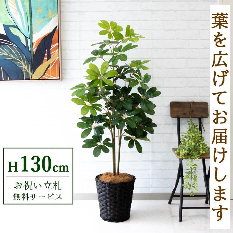 ☆立札無料☆【すぐ飾れる】 フェイクグリーン 人工観葉植物