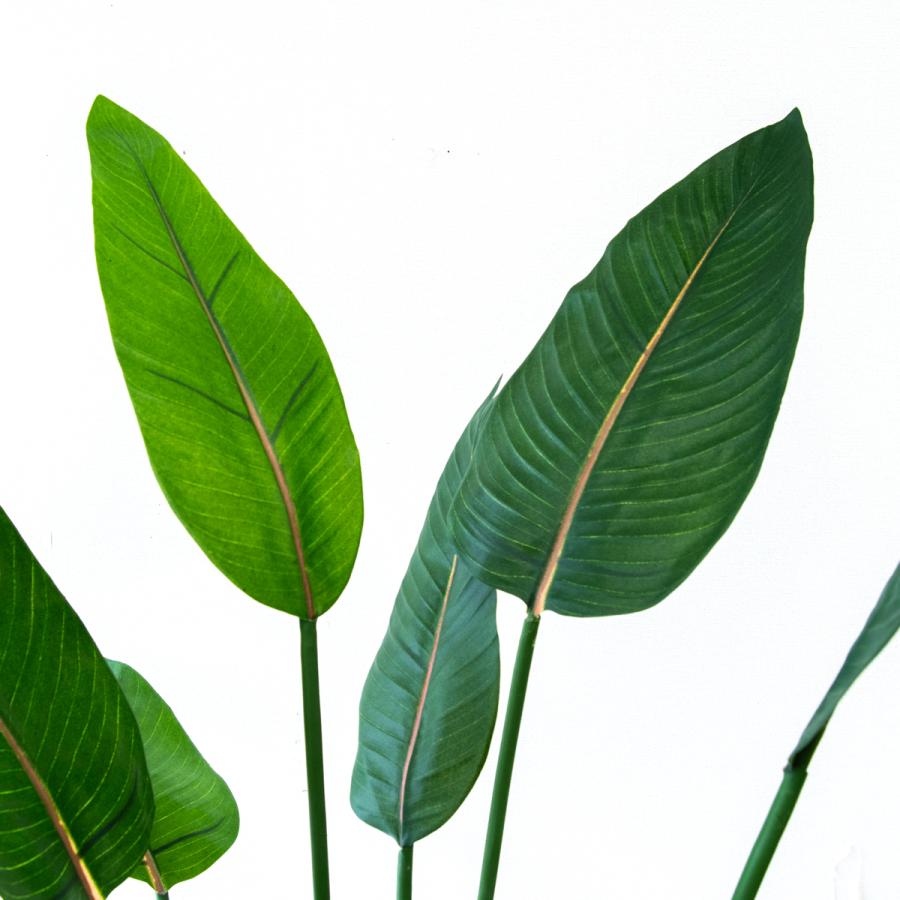☆立札無料☆【すぐ飾れる】 フェイクグリーン 人工観葉植物