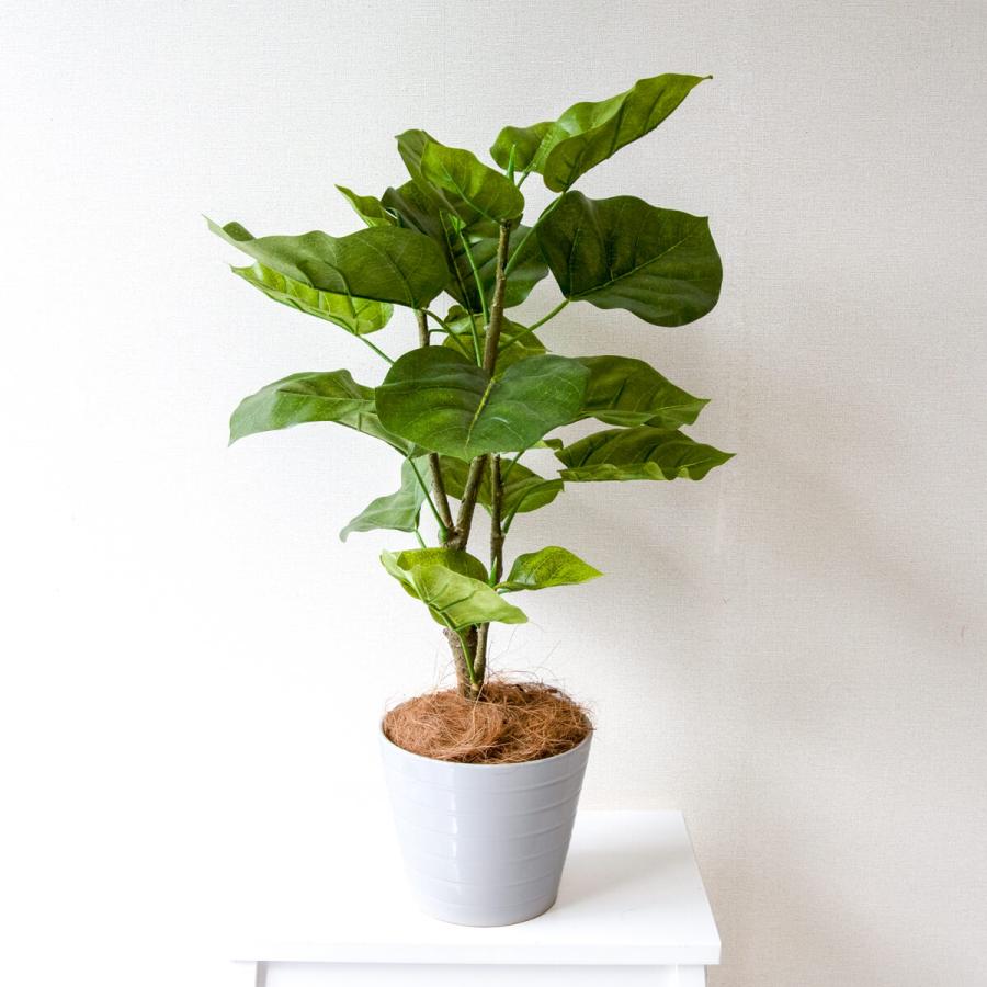 Pg129 ウンベラータポットh約75cm Gla 1440 陶器 人工観葉植物 フェイクグリーン アーティフィシャルグリーン 通販 インテリア おしゃれ 55 Off