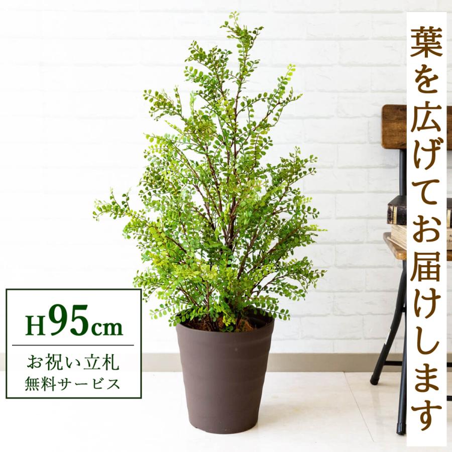 Pg141 B240br シルクジャスミン H約95cm ポリプロピレン鉢 人工観葉植物 フェイクグリーン アーティフィシャルグリーン 通販 インテリア おしゃれ Pg141 B240br 0101pp Shop Yahoo 店 通販 Yahoo ショッピング