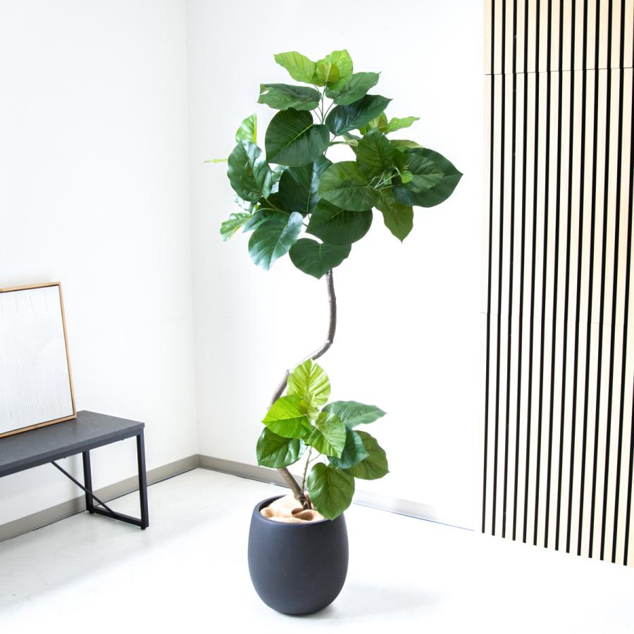 ☆立札無料☆【すぐ飾れる】 フェイクグリーン 人工観葉植物 フィカス