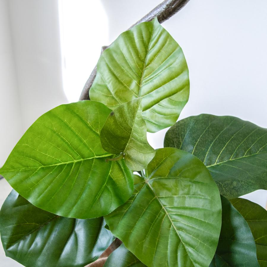 ☆立札無料☆【すぐ飾れる】 フェイクグリーン 人工観葉植物 フィカス