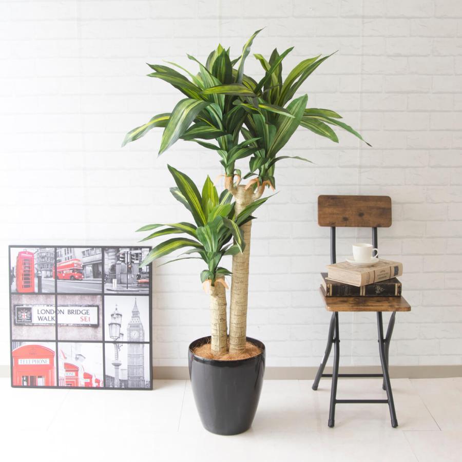 Pg155 マッサン 幸福の木 H135cm ポリプロピレン鉢 人工観葉植物 フェイクグリーン アーティフィシャルグリーン 通販 インテリア おしゃれ Pg155 0101pp Shop Yahoo 店 通販 Yahoo ショッピング