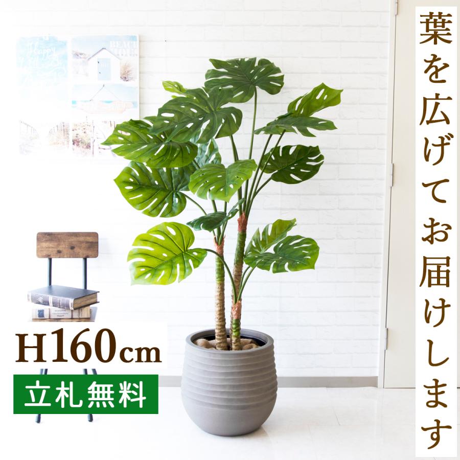 超人気の Pg157 J40 モンステラ H約160cm Frp鉢 人工観葉植物 フェイクグリーン アーティフィシャルグリーン 通販 インテリア おしゃれ Pg157 J40 0101pp Shop Yahoo 店 通販 Yahoo ショッピング 保障できる Www Iccostierovico Edu It