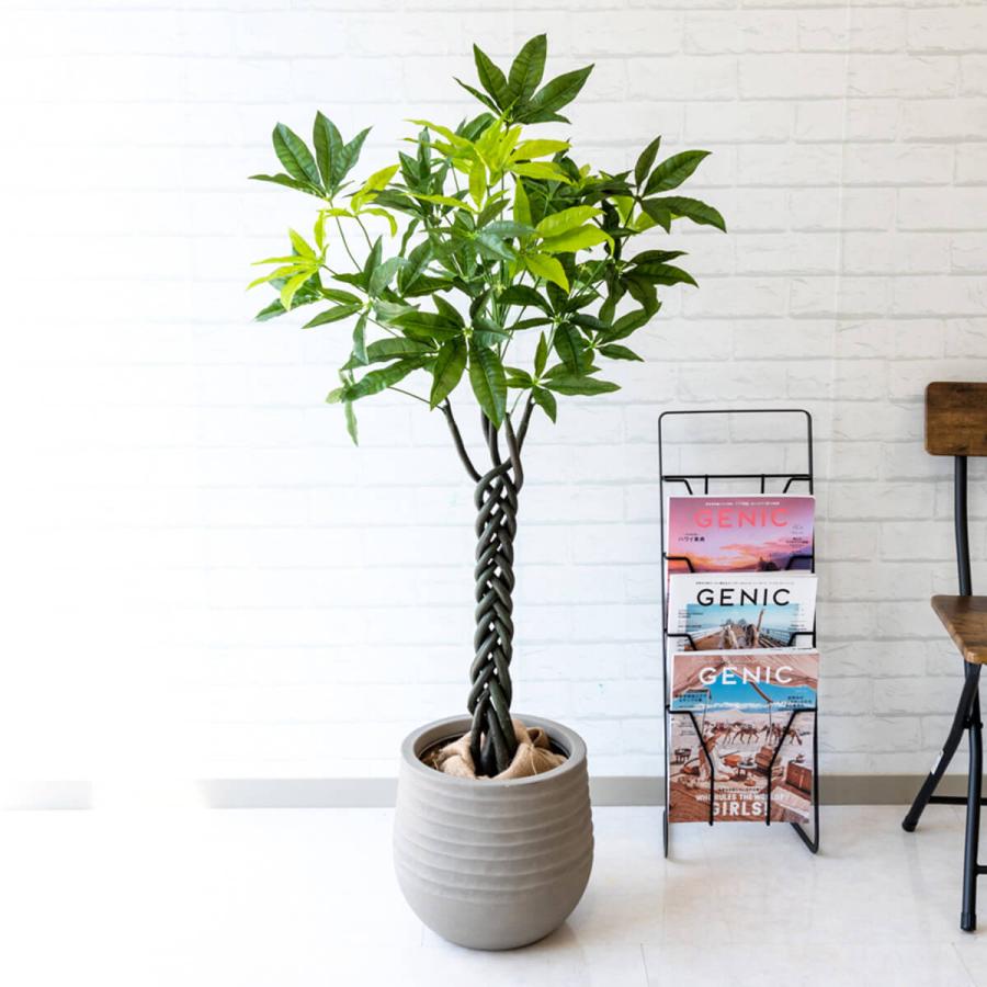 再再販 Pg160 J30 パキラ H約125cm Frp鉢 人工観葉植物 フェイクグリーン アーティフィシャルグリーン 通販 インテリア おしゃれ Pg160 J30 0101pp Shop Yahoo 店 通販 Yahoo ショッピング 上質で快適 Www Iccostierovico Edu It