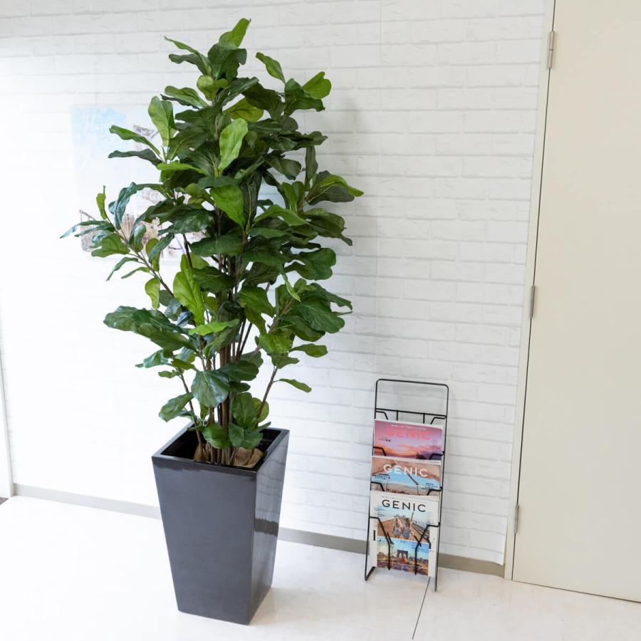 Pg163 ウンベラータ H約185cm Frp鉢 人工観葉植物 フェイクグリーン アーティフィシャルグリーン 通販 インテリア おしゃれ Pg163 0101pp Shop Yahoo 店 通販 Yahoo ショッピング